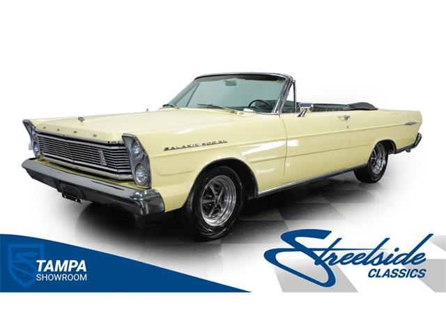 1965 Ford Galaxie (CC-1846062) for sale in Lutz, Florida