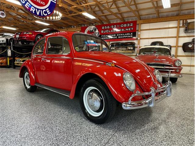 1966 Volkswagen Beetle (CC-1840692) for sale in Newfield, New Jersey
