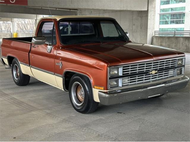1983 Chevrolet C10 (CC-1847898) for sale in Cadillac, Michigan