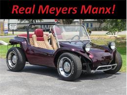 1973 Volkswagen Dune Buggy (CC-1847940) for sale in Palmetto, Florida