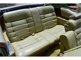 1976 Cadillac Eldorado (CC-1847957) for sale in Lakeland, Florida