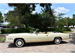 1976 Cadillac Eldorado (CC-1847957) for sale in Lakeland, Florida