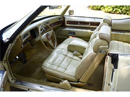 1976 Cadillac Eldorado (CC-1847957) for sale in Lakeland, Florida