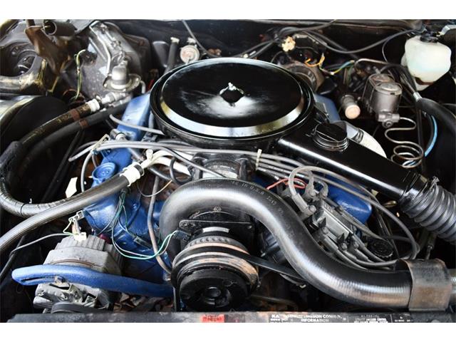 1976 Cadillac Eldorado (CC-1847957) for sale in Lakeland, Florida