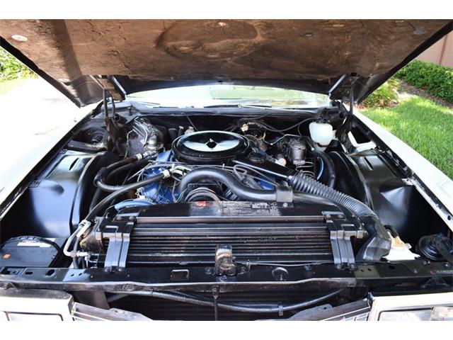 1976 Cadillac Eldorado (CC-1847957) for sale in Lakeland, Florida