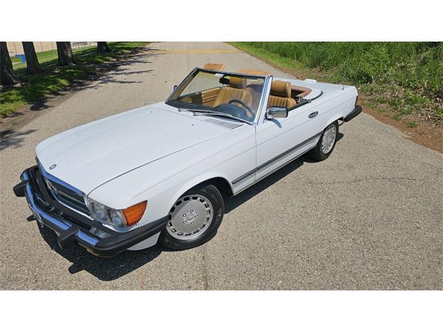 1989 Mercedes-Benz 560 (CC-1848135) for sale in Watertown, Wisconsin