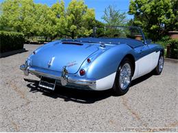1960 Austin-Healey 3000 Mk I BT7 (CC-1848186) for sale in Sonoma, California