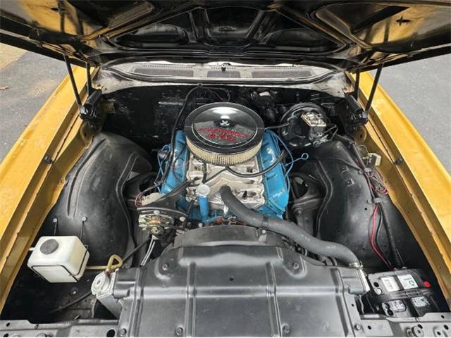 1972 Oldsmobile Cutlass (CC-1848603) for sale in Cadillac, Michigan