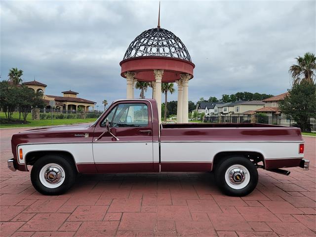 1975 Chevrolet C20 (CC-1848803) for sale in CONROE, Texas