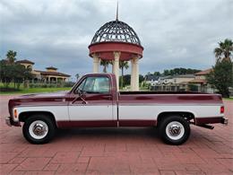 1975 Chevrolet C20 (CC-1848803) for sale in CONROE, Texas