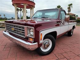 1975 Chevrolet C20 (CC-1848803) for sale in CONROE, Texas