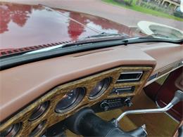 1975 Chevrolet C20 (CC-1848803) for sale in CONROE, Texas