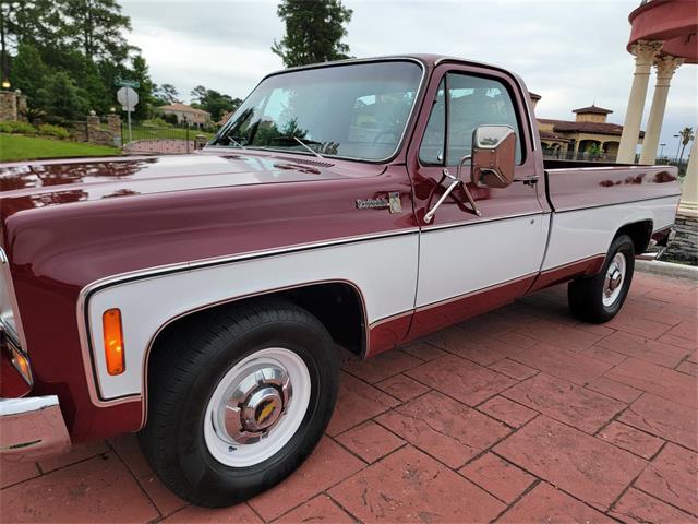 1975 Chevrolet C20 (CC-1848803) for sale in CONROE, Texas