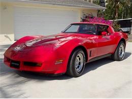 1981 Chevrolet Corvette (CC-1848916) for sale in Sarasota, Florida