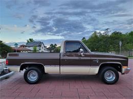 1981 Chevrolet C10 (CC-1840892) for sale in Hobart, Indiana