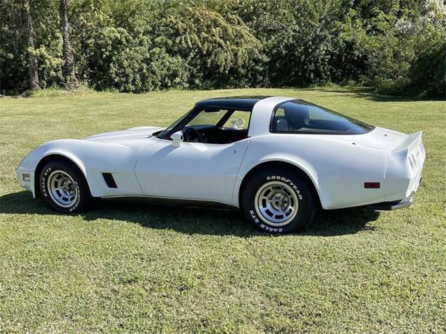 1980 Chevrolet Corvette (CC-1848934) for sale in Sarasota, Florida