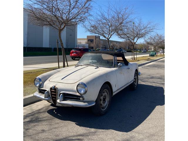 1962 to 1964 Alfa Romeo Giulietta Spider for Sale