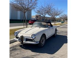 1962 Alfa Romeo Giulietta Spider (CC-1849210) for sale in Astoria, New York