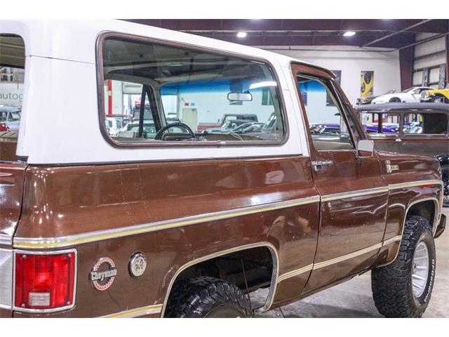 1977 Chevrolet Blazer (CC-1849344) for sale in Kentwood, Michigan