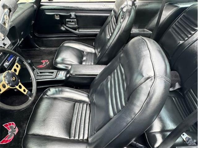 1979 Pontiac Firebird Trans Am (CC-1849392) for sale in Cadillac, Michigan