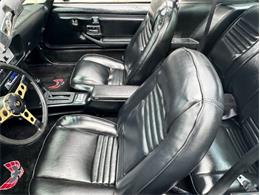 1979 Pontiac Firebird Trans Am (CC-1849392) for sale in Cadillac, Michigan