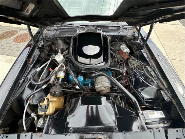 1979 Pontiac Firebird Trans Am (CC-1849392) for sale in Cadillac, Michigan
