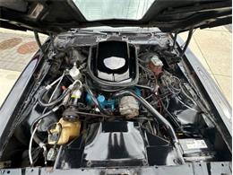 1979 Pontiac Firebird Trans Am (CC-1849392) for sale in Cadillac, Michigan