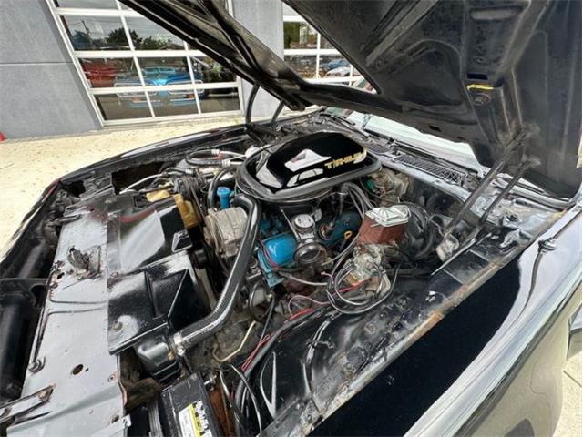 1979 Pontiac Firebird Trans Am (CC-1849392) for sale in Cadillac, Michigan