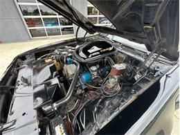1979 Pontiac Firebird Trans Am (CC-1849392) for sale in Cadillac, Michigan
