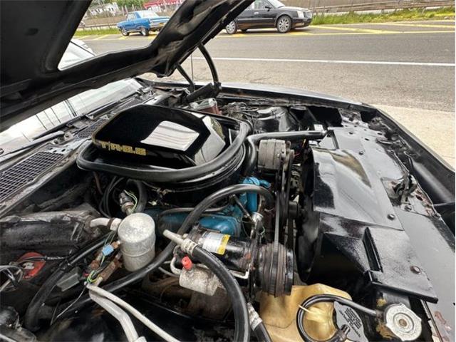 1979 Pontiac Firebird Trans Am (CC-1849392) for sale in Cadillac, Michigan
