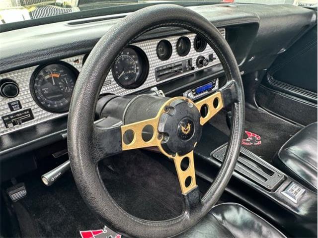 1979 Pontiac Firebird Trans Am (CC-1849392) for sale in Cadillac, Michigan