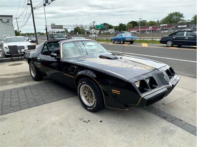 1979 Pontiac Firebird Trans Am (CC-1849392) for sale in Cadillac, Michigan