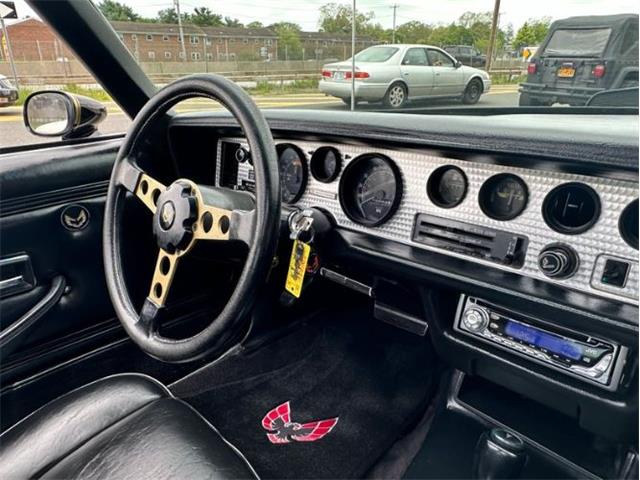 1979 Pontiac Firebird Trans Am (CC-1849392) for sale in Cadillac, Michigan