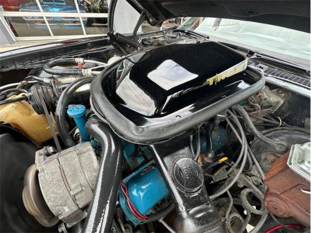 1979 Pontiac Firebird Trans Am (CC-1849392) for sale in Cadillac, Michigan