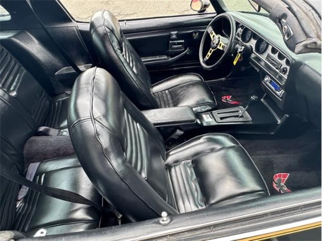 1979 Pontiac Firebird Trans Am (CC-1849392) for sale in Cadillac, Michigan