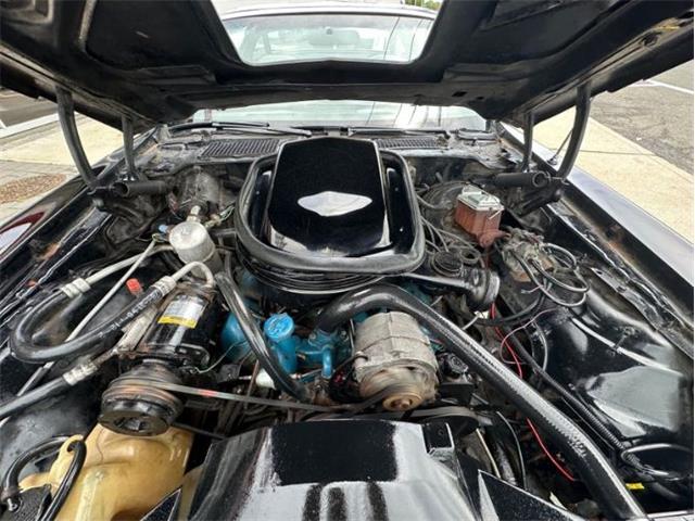 1979 Pontiac Firebird Trans Am (CC-1849392) for sale in Cadillac, Michigan