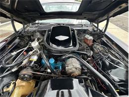 1979 Pontiac Firebird Trans Am (CC-1849392) for sale in Cadillac, Michigan