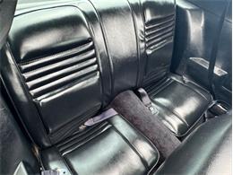 1979 Pontiac Firebird Trans Am (CC-1849392) for sale in Cadillac, Michigan
