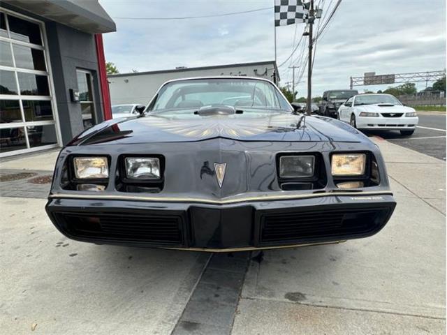 1979 Pontiac Firebird Trans Am (CC-1849392) for sale in Cadillac, Michigan