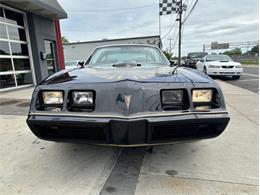 1979 Pontiac Firebird Trans Am (CC-1849392) for sale in Cadillac, Michigan
