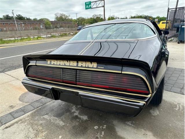 1979 Pontiac Firebird Trans Am (CC-1849392) for sale in Cadillac, Michigan