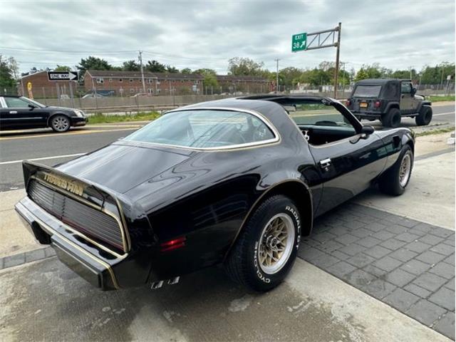 1979 Pontiac Firebird Trans Am (CC-1849392) for sale in Cadillac, Michigan