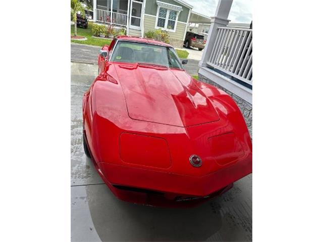 1974 Chevrolet Corvette (CC-1849441) for sale in Cadillac, Michigan