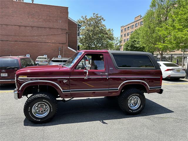 1980 Ford Bronco (CC-1849532) for sale in Queens, New York