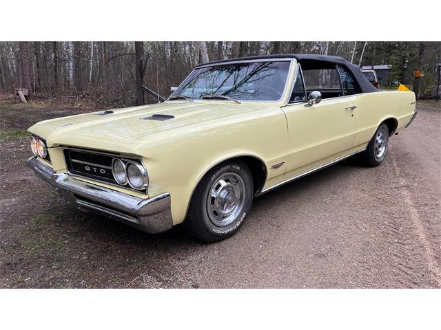 1964 Pontiac GTO (CC-1849575) for sale in Annandale, Minnesota