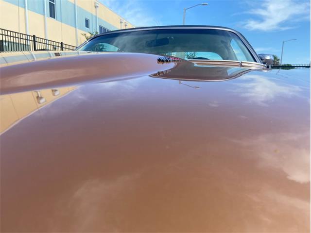 1974 Dodge Charger (CC-1849614) for sale in Clearwater, Florida
