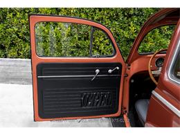 1957 Volkswagen Beetle (CC-1849896) for sale in Beverly Hills, California