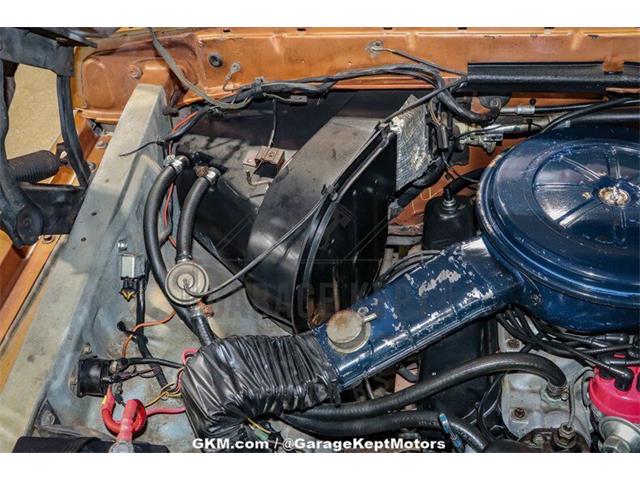 1976 Ford F100 (CC-1851139) for sale in Grand Rapids, Michigan