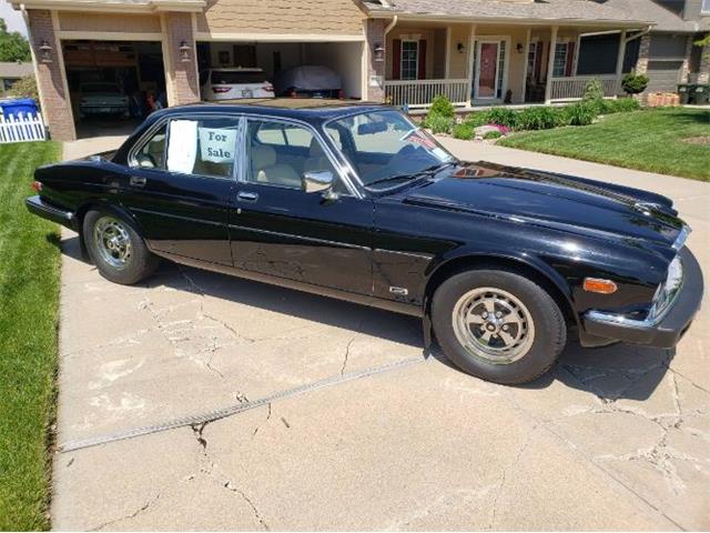 1986 Jaguar XJ6 (CC-1851162) for sale in Cadillac, Michigan