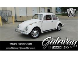 1966 Volkswagen Beetle (CC-1852081) for sale in O'Fallon, Illinois